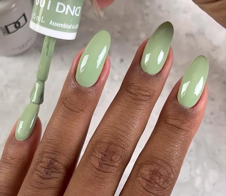 Creamy Sage – Xanh sage kem