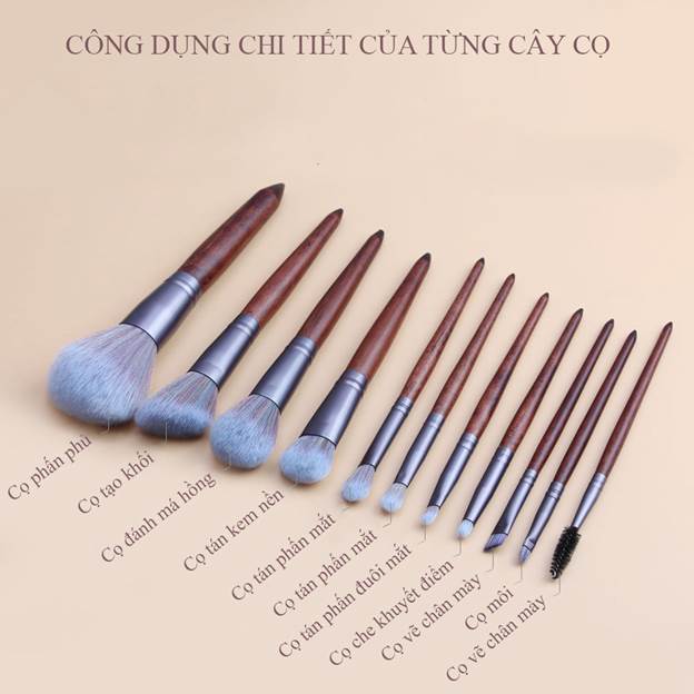 cách đánh phần mềm giúp da không bị mốc, mịn và thật